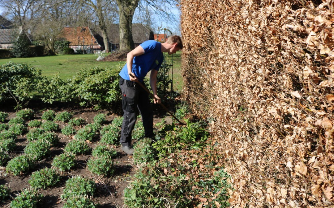 Medewerker Groenvoorziening