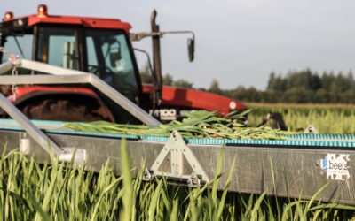 Medewerker Bloementeelt